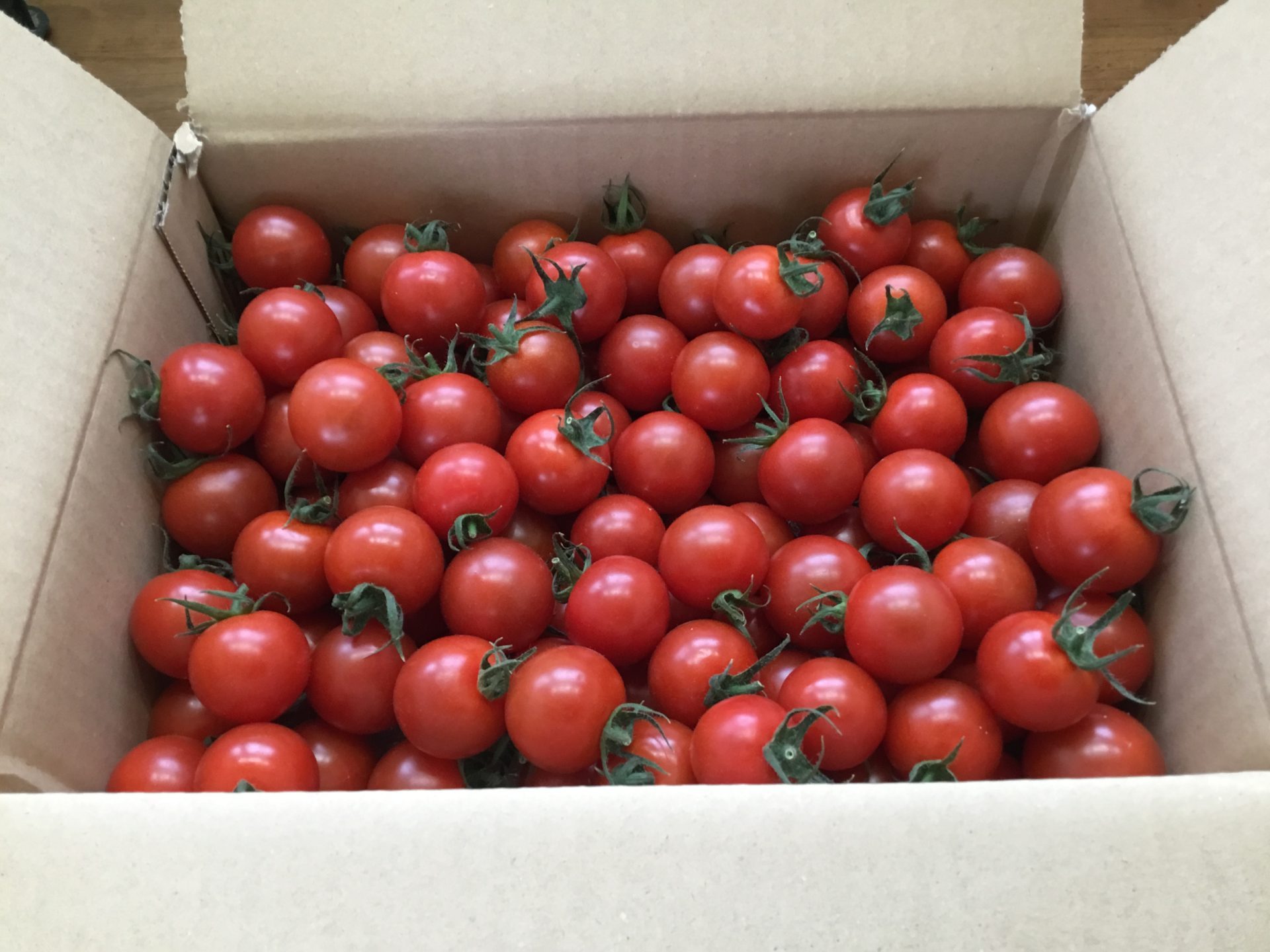 新規就農者のフルーツトマトの販売
