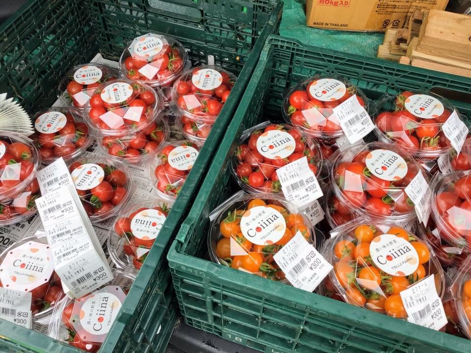 フルーツトマト品種の共通点